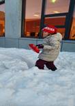 20230104_110248 (Large).jpg (402617 bytes)